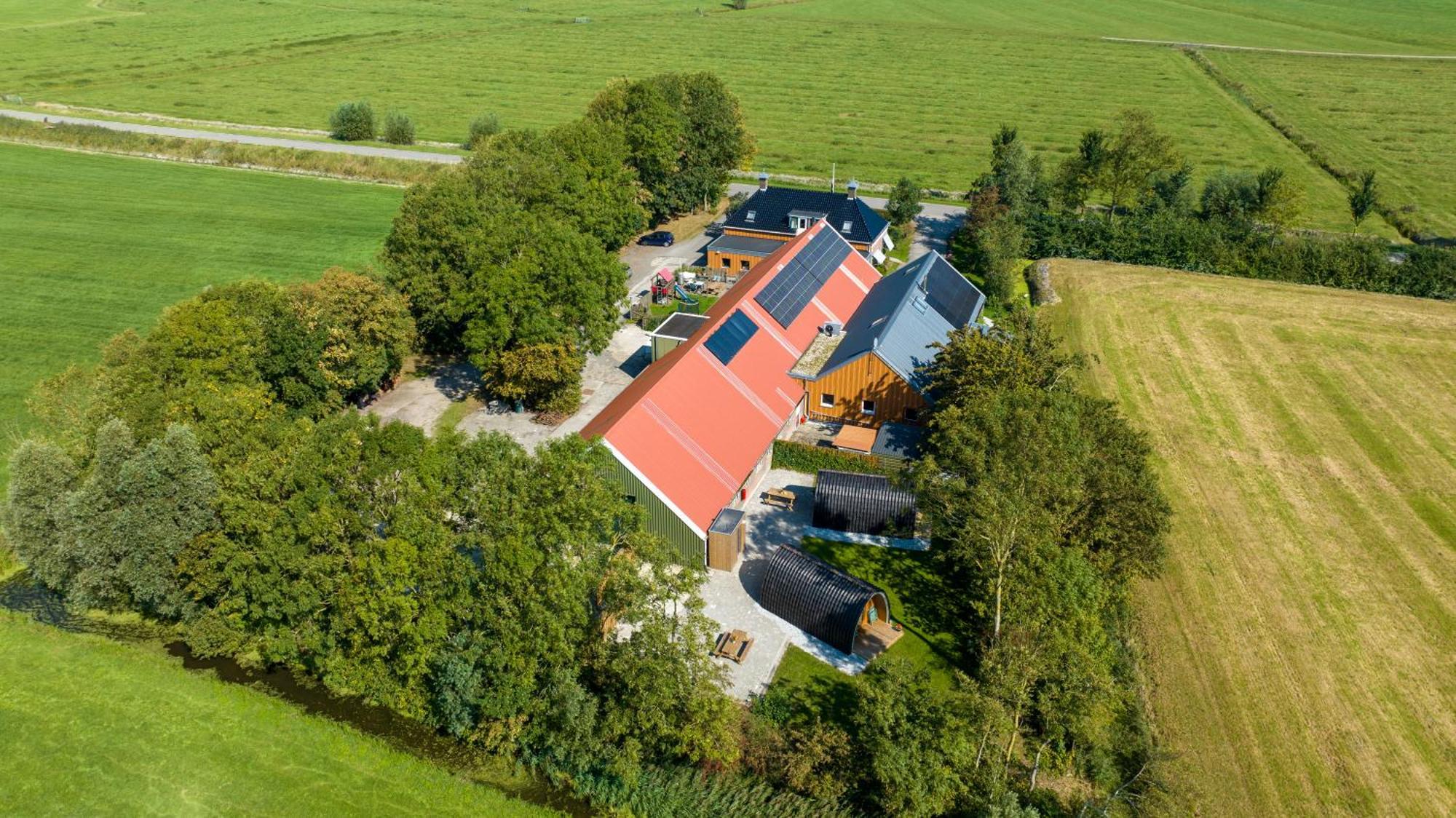 Pod Lyts Dekema 1 Lodge Baard