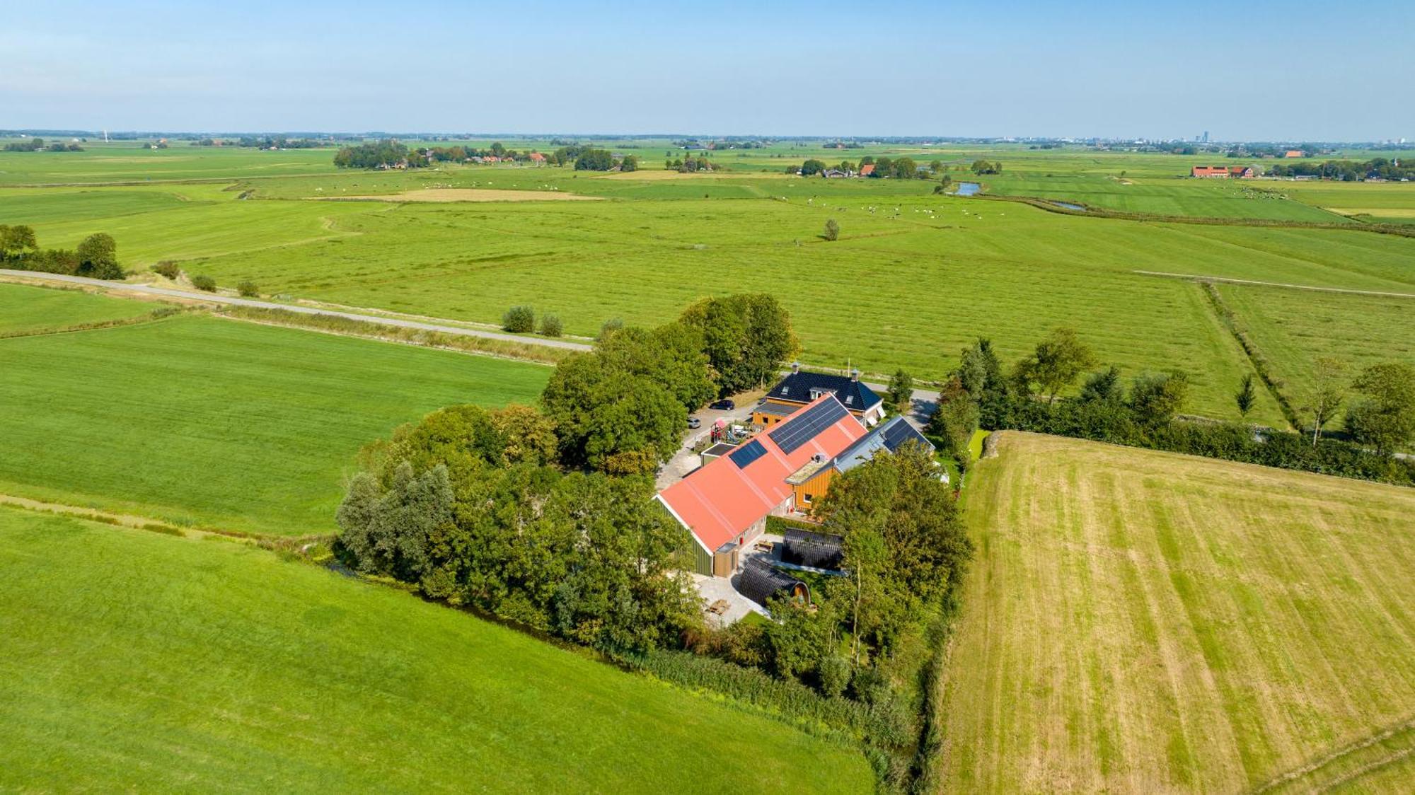 Pod Lyts Dekema 1 Lodge Baard
